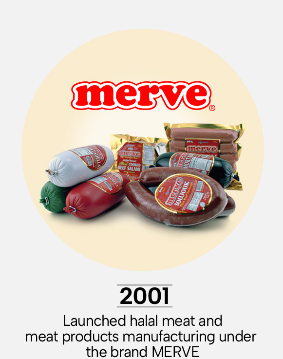 Vintage-Journey-2001